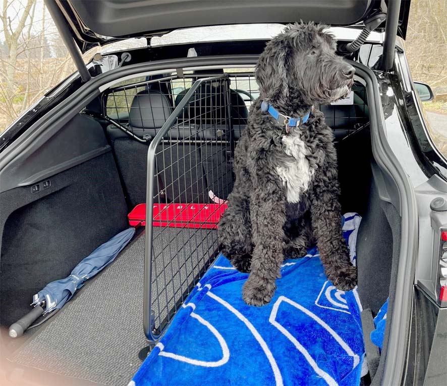 Guardsman hund- & lastgaller + avdelare Model Y Juniper - Bild 3