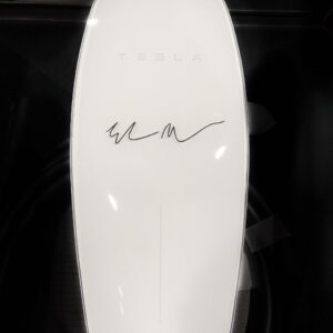 Alternative view of Elon Musk Signature