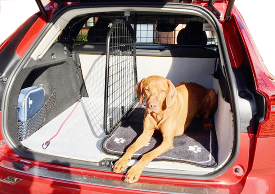 Guardsman hund- & lastgaller + avdelare – Volvo XC60 2017- - Bild 2