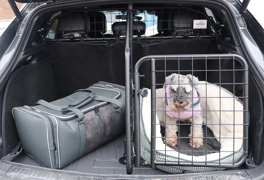 Guardsman Tailgate Guard - M
